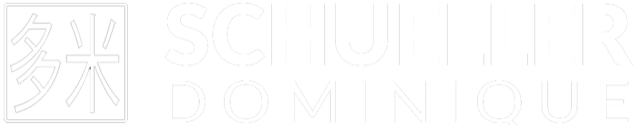 Logo Dominique Tuina