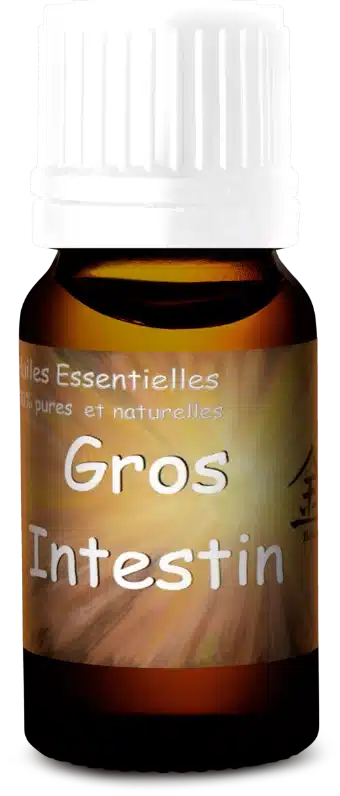 flacon huile essentielle gros intestin